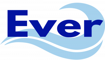 Лого EVERFOCUS. Логотип Everskies. Rav4 ever логотип.